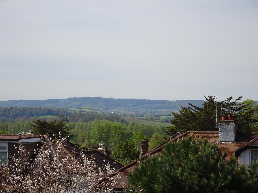 Gras Lawn B&B Exeter Ngoại thất bức ảnh